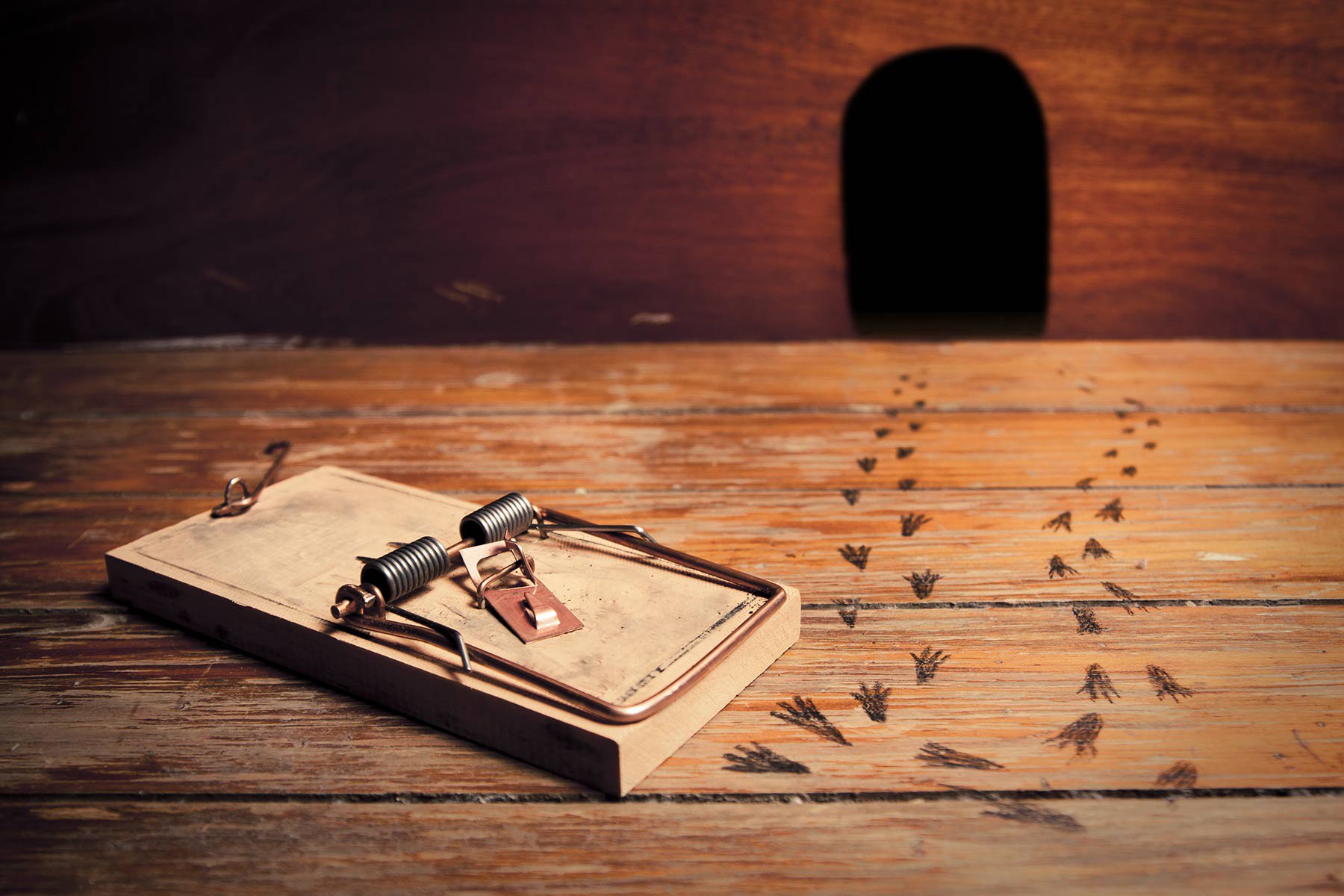 katapolemisi-pontikon