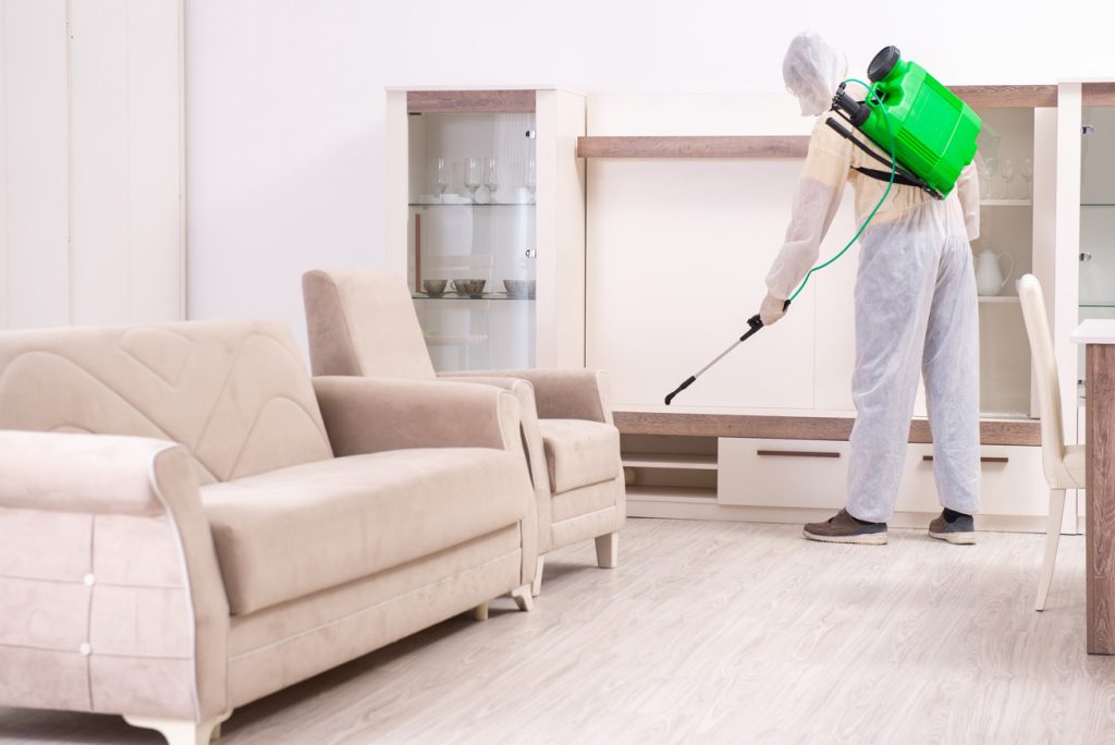 Apentomwsh SpitibioClean Blog